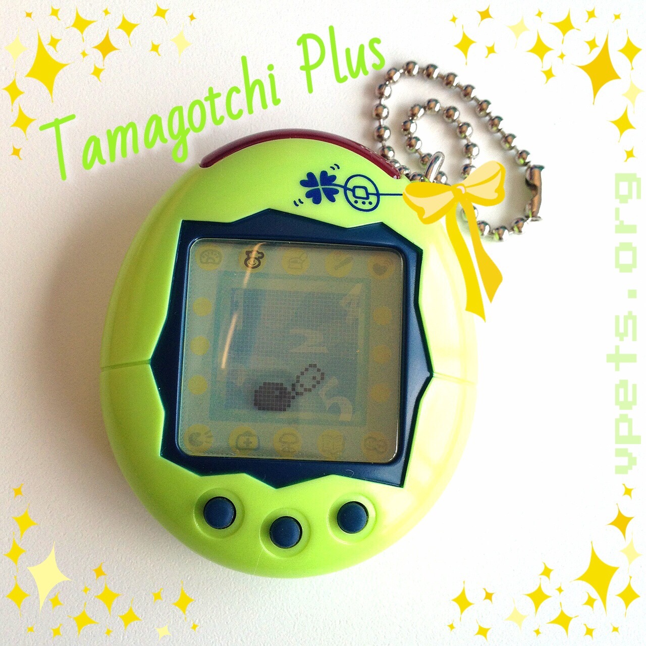 Tama Plus Clover